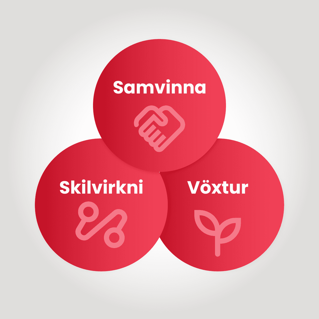 syn_gildi_grafik-Um Sýn - gildi -grafík-img