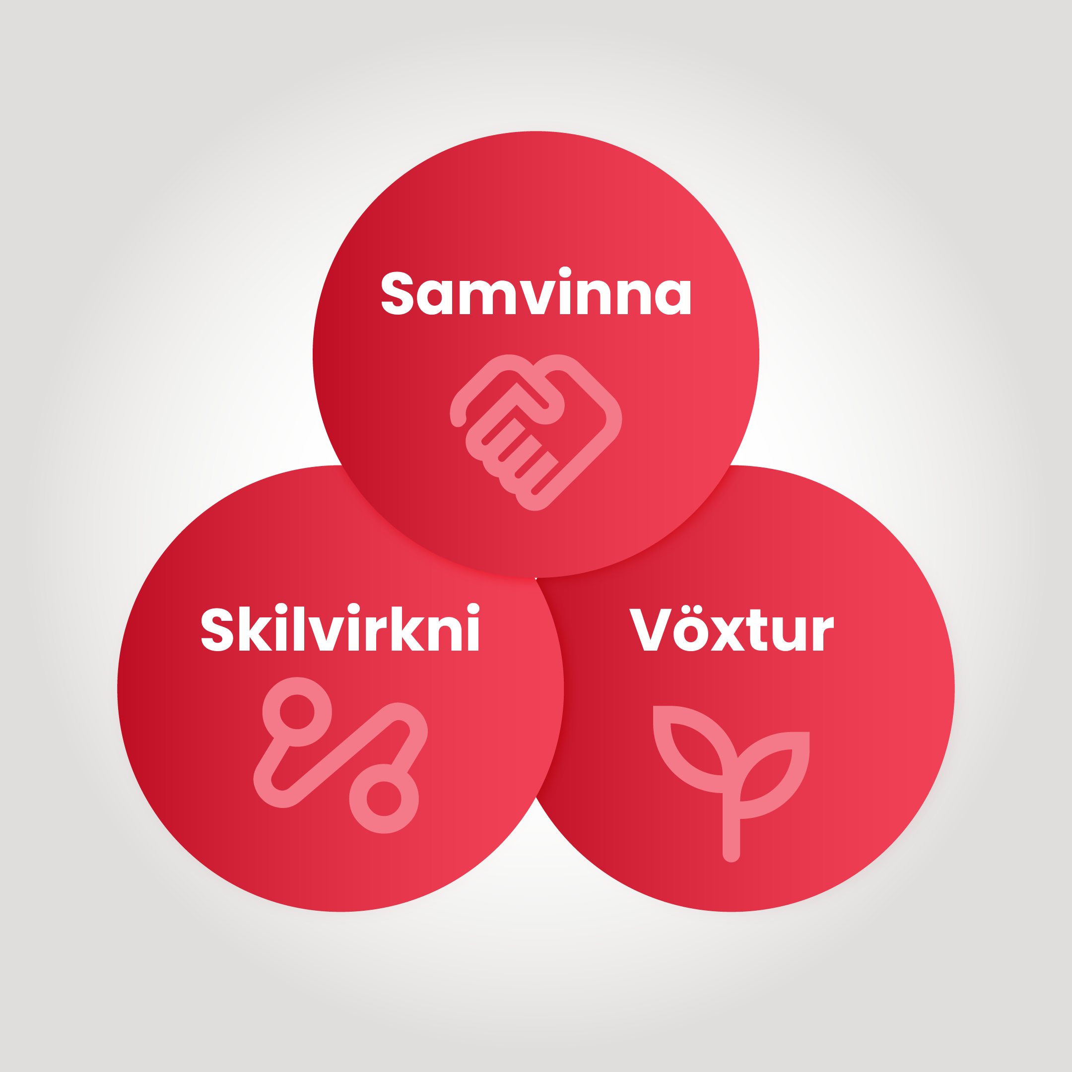 syn_gildi_grafik-Um Sýn - gildi -grafík-img