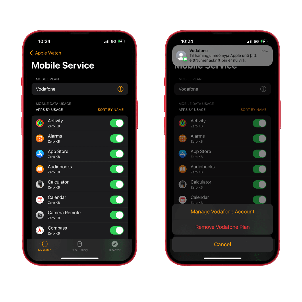 eSIM Apple Watch leiðbeiningar 6-eSIM Apple Watch leiðbeiningar 6-img