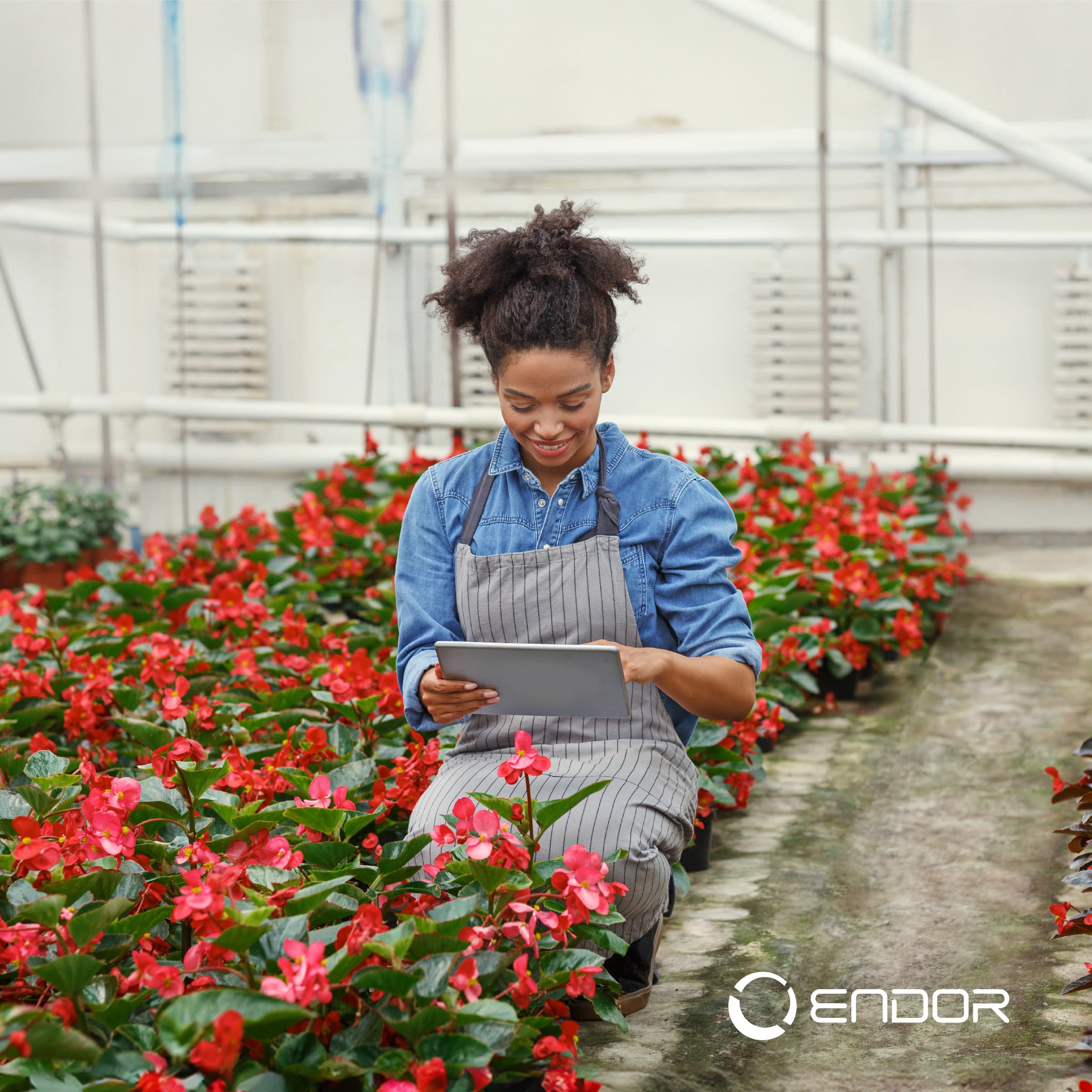 Blóm+Endor-Blóm+Endor-img