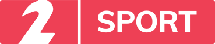 Vodafone logo